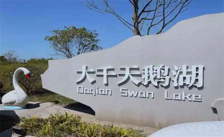 8.webp.jpg 8.webp.jpg