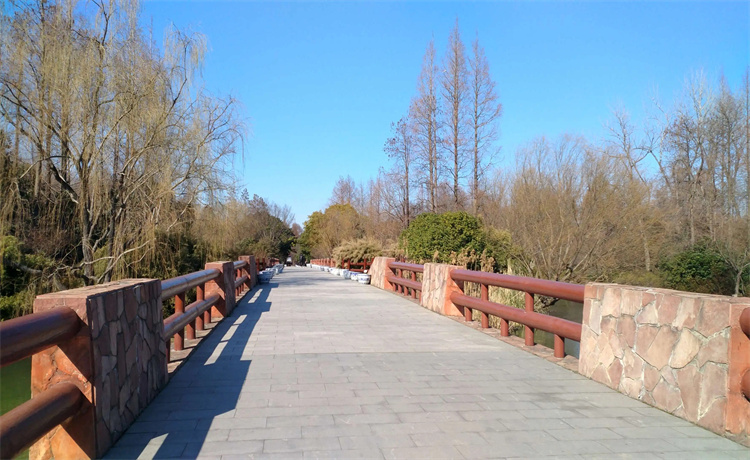 6.webp.jpg 6.webp.jpg